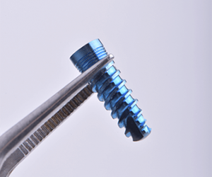 dentalalvarez-dental-bridge-vs-implant-cost-in-tijuana-advantages-and-disadvantages